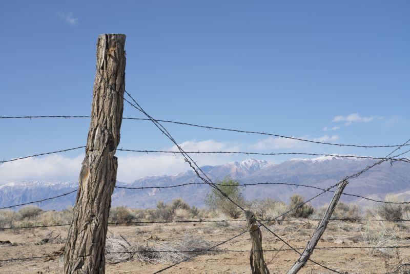 Barb Wire Fencing Repair detail