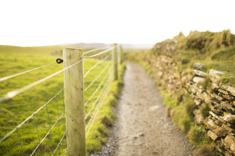 Farm Fencing Installation detail